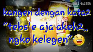 Story wa pekok