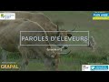 Paroles dleveurs  pisode 2  levage en zones humides viable ou pas en marais 