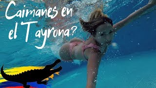 Aventura en El Parque Tayrona - Santa Marta I Colombia Vlog #5