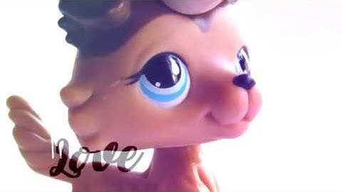 new rules | LPSPEACE NLOVE MEP part