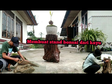 Membuat tiang pot  stand bonsai  dari kayu  lapuk YouTube
