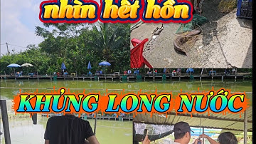 Tâp 059: Quá khủng khiếp khi câu được khủng long nước - giật mỏi tay - bay cần 