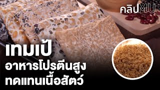 เทมเป้ อาหารโปรตีนสูง ทดแทนเนื้อสัตว์ | คลิป MU