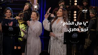 يا مال الشام  تريو حصري يجمع أصالة وأحلام ورولان في برنامج 'أحلام ألف ليلة وليلة'