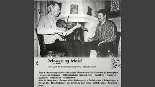 Download Lagu Suldølen: På Harangefele O' Håge Bas'e (A.D.A.E) MP3