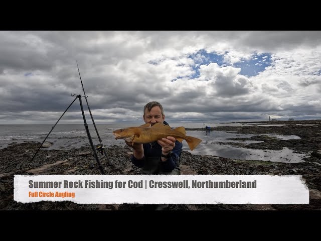 Summer Rock Fishing for Cod  Cresswell, Northumberland #rockfishing  #codfishing #northumberland 
