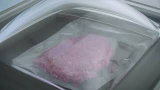 La Minerva-Airlcss I Vacuum Packing ماكينة تفريغ الهواء Star International Egypt