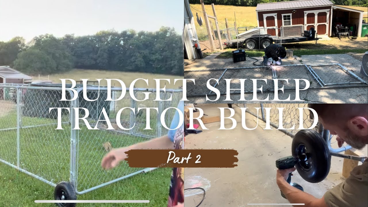Budget Sheep Tractor Build Part 2