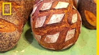 Watching This Will Make You Want to Bake Delicious Bread for a Living | Short Film Showcase screenshot 4