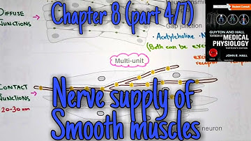 Nerve supply of smooth muscles - chapter 8 (part 4/7)- Guyton and hall text book of  physiology.