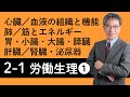 【労働生理①】心臓、血液の組織と機能、肺、筋とエネルギー、胃・小腸・大腸・膵臓、肝臓、腎臓・泌尿器について村中先生がやさしく解説！