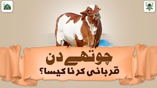 Qurbani Kitne Din Tak Kar Sakte Hai? | Chothay Din Qurbani Karna Kaisa? | Darulifta Ahlesunnat