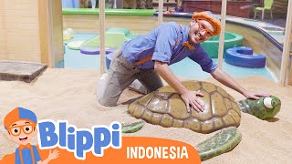 Menemukan berbagai macam hewan di Museum Anak-Anak | Blippi Bahasa Indonesia - Video Anak-Anak