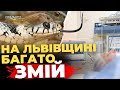На Львівщині ЗМІЇ ПОКУСАЛИ двох людей — обидва в реанімації | ПравдаТУТ Львів