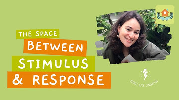 The Space Between Stimulus and Response