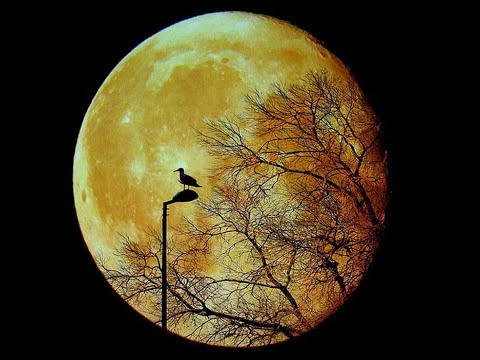 Луна - Красивые Фото! Потрясающе Красивая Музыка В Стиле Енигматик Нью Эйдж!