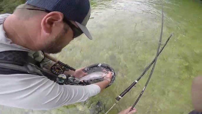 Fly Fishing Slovakia : BYSTRICA River on the dry fly…lots of beautiful  spotty trout in fast water 