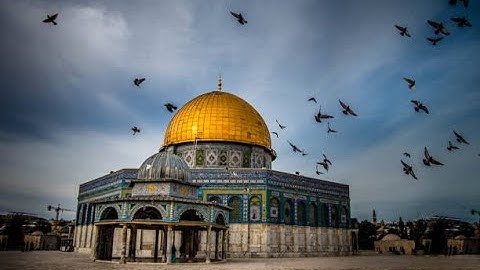 تلاوة القرآن الكريم من سورة سبأ و سورة فاطر | في صلاة التراويح | ١٤٤٥/2024