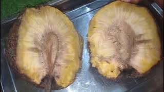 Download lagu Wanginya & Legitt‼️#Buah #Sukun Tua‼️Hampir Bonyok🤣‼️Yuk Kukus Guysss #Youtubeshorts #short #shorts