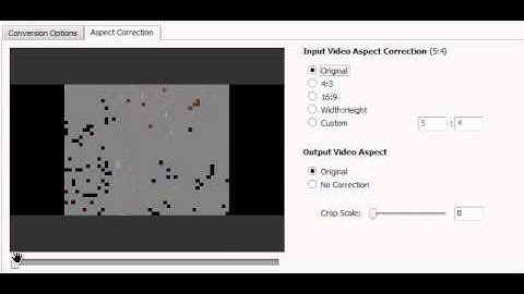 Remove Black Bars with AVS Video Converter
