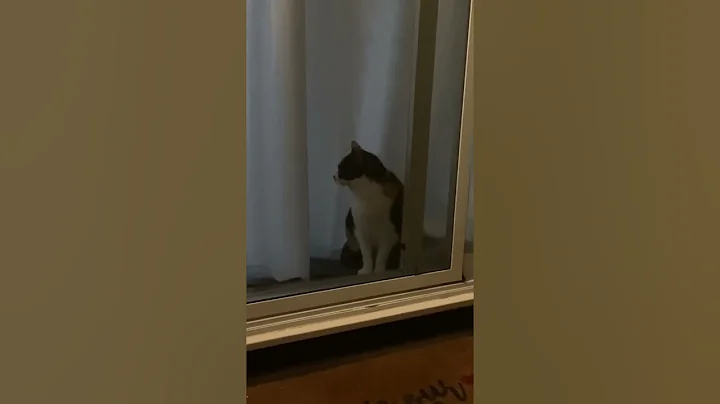 Little bit