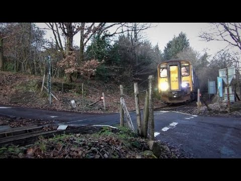 Trains on the Gunnislake branch