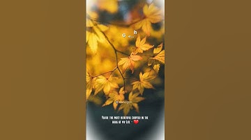 Thumbnail of Poongathave Thaal (Cover 46)