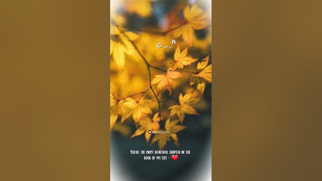 Poongathave Thaal (Cover 46)