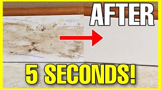 HOW TO CLEAN BASEBOARDS & WALLS!!! (Like a Professional in SECONDS) | Andrea Jean