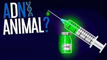 ¿Qué animal coincide en ADN con el ser humano?
