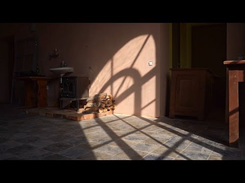 Video: Iemesli 8 dīvaini (un bruto!) Suņiem