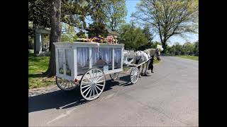 White Horse Funeral  Carriage from Cotton FH Newark to Evergreen Cemetery Hillside NJ April 24 2021 Profile