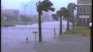WeatherWise  Hurricanes - The Weather Network