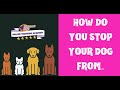 Attention Dog Owners!  How can you stop your dog....