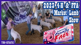 4H & FFA Market Lamb Show