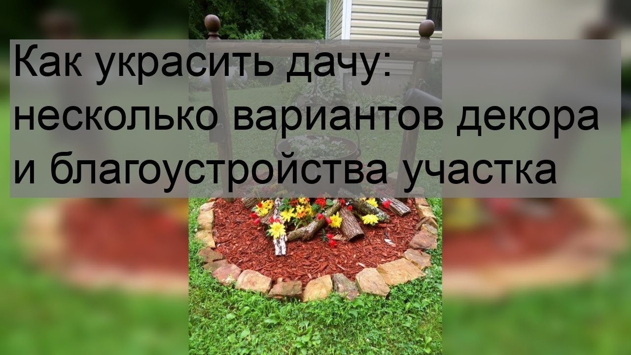 Как остаться живым на наших дорогах?