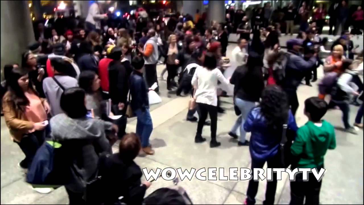 One Direction Fans Run Wild at LAX Airport 11/19/2013
