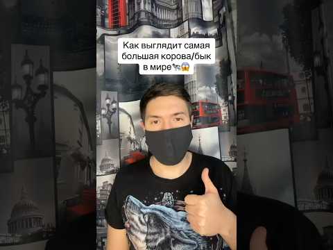 Как выглядит, самая большая корова в мире #рекомендации #рек #животные #корова