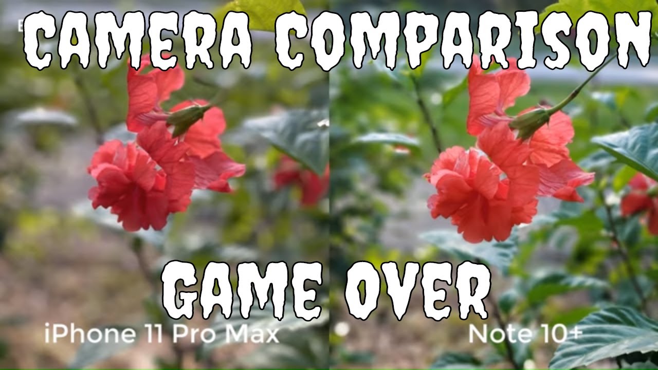 Apple iPhone 11 Pro Max Vs Galaxy Note 10 Camera Comparison | Daytime Only !! | GAME OVER !!