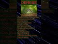 Mosquito - Dengue