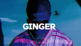 Wizkid x Burna Boy x Afro Swing Type Beat-2024 "Ginger"