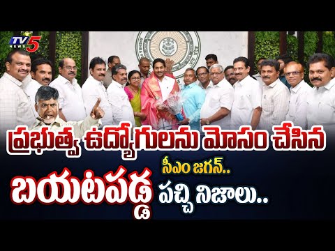 చంద్రబాబే బెస్ట్.. | CM Jagan CHEATING REVEALD on Govt Employees in Five Years Ruling | TV5 News - TV5NEWS