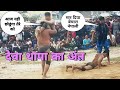 उठकर फ़ेंक दिया देवा थापा को बच्चे की तरह deva thapa nepal kathmandu kusti video 2021