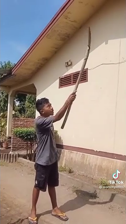 video OM KOBUS yang sangat lucu 😂🤣