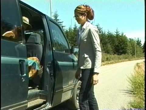 drive me crazy by terra elan mcvoy drive me crazy by terra elan mcvoy