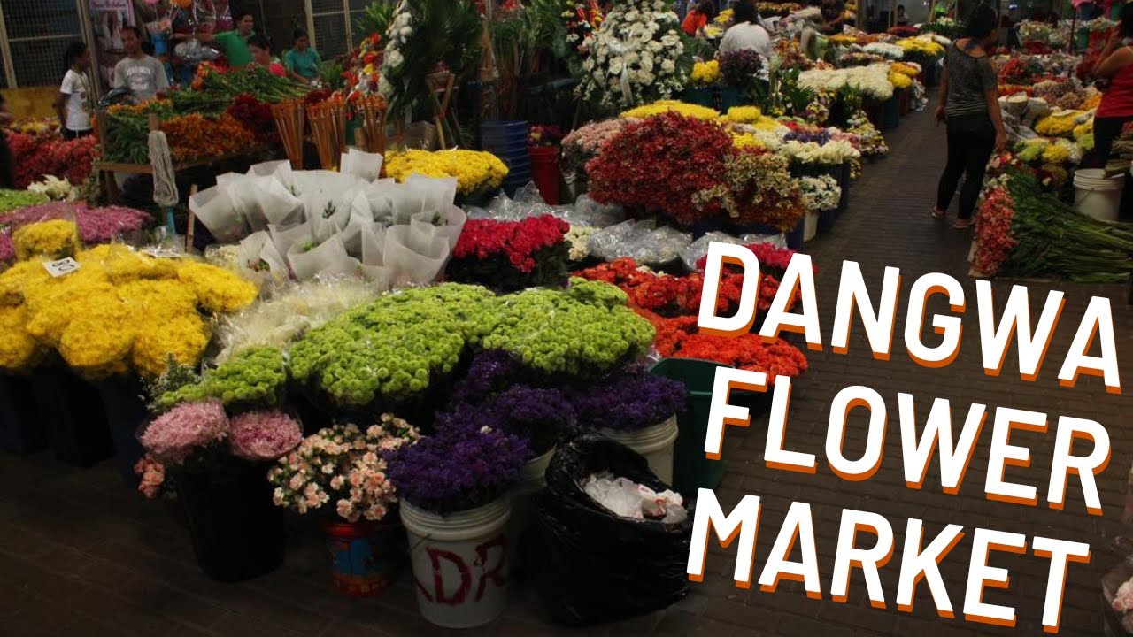 Fresh & Dried Flowers in Dangwa Shopping Guide 2022 Bulaklakan ng