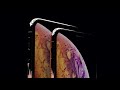 Apple iPhone 10s Commercial Song — 3D Snoh Aalegra - Nothing Burns Like The Cold