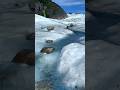 Hebert Glacier, Alaska #glacier #shorts #short
