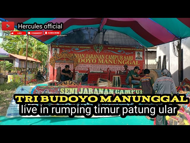 Hercules official live streaming jaranan tri budoyo manunggal di rumping timur patung ular class=