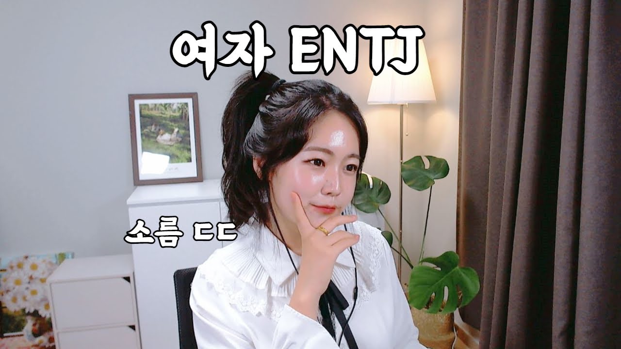 MBTI 유형별 특징? 여자 ENTJ 라면 공감할 포인트